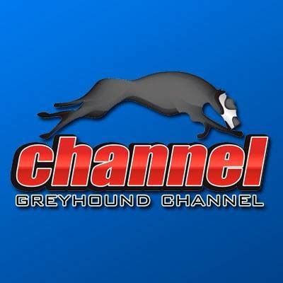 greyhoundchannel|the greyhound channel official site.